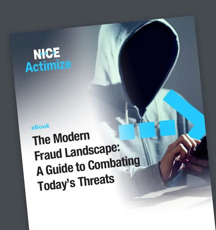 modernfraudlandscape_cover