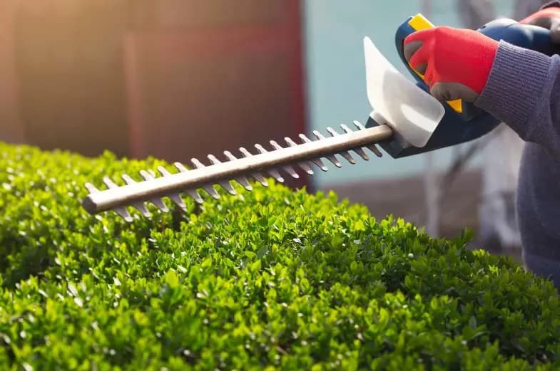 Are Best Practices Being Reinvented in Hedge Fund Risk Compliance?