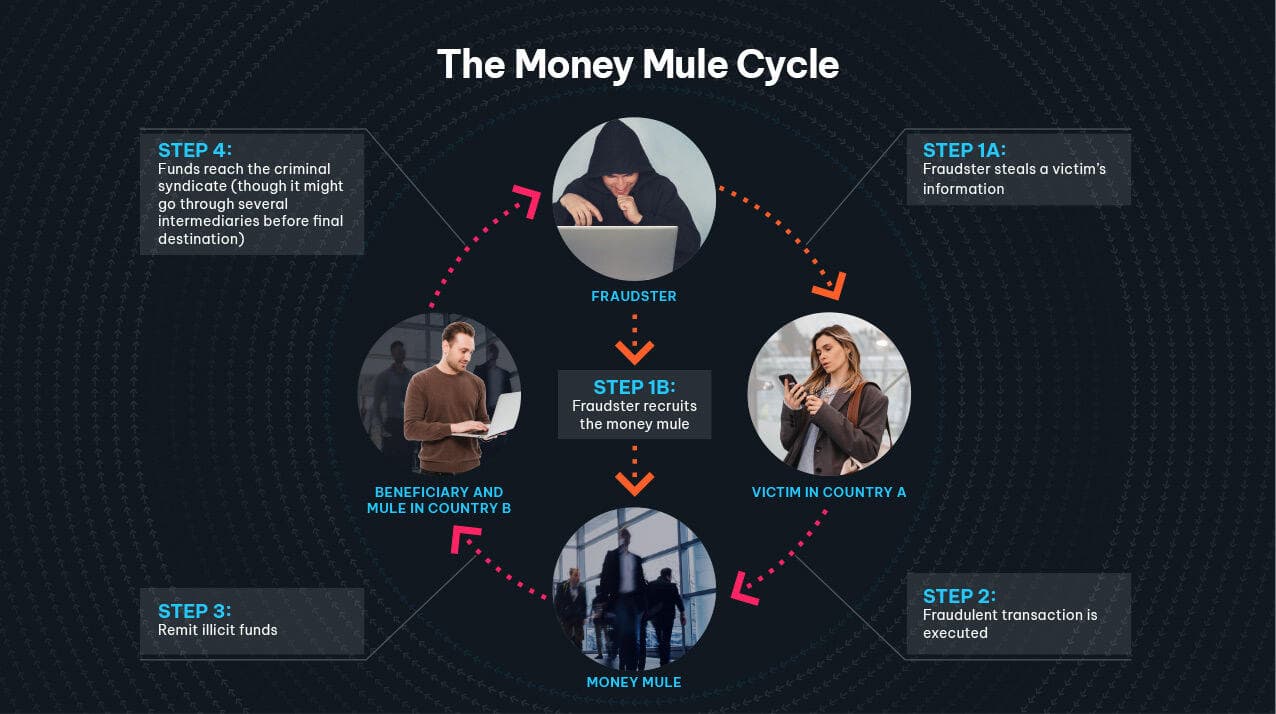 Fraud_PMK482_Money-Mules-Blog_img1_0