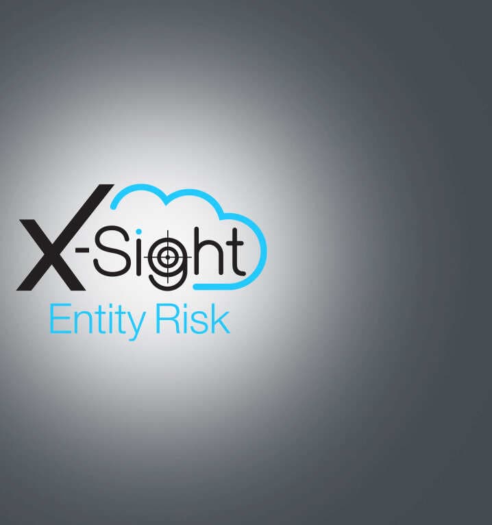 subpage_covers_new_xsightentityrisk