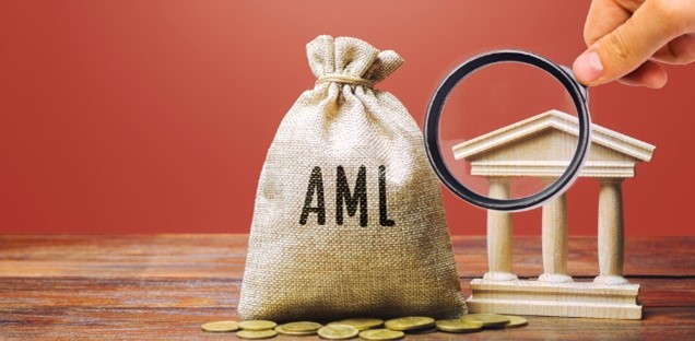 AML software for helping financial action task force
